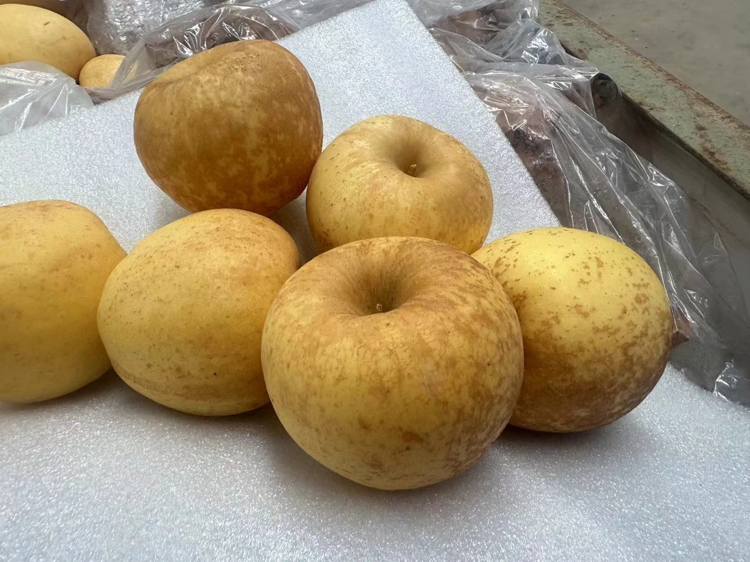 【京东】山东黄金维纳斯4-4. 2斤 生长带有果锈  果子偏小，大小不一