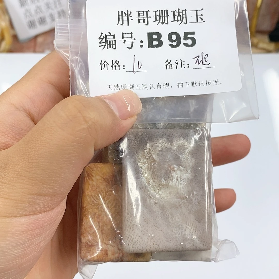 硅化珊瑚(珊瑚玉)B95未镶嵌