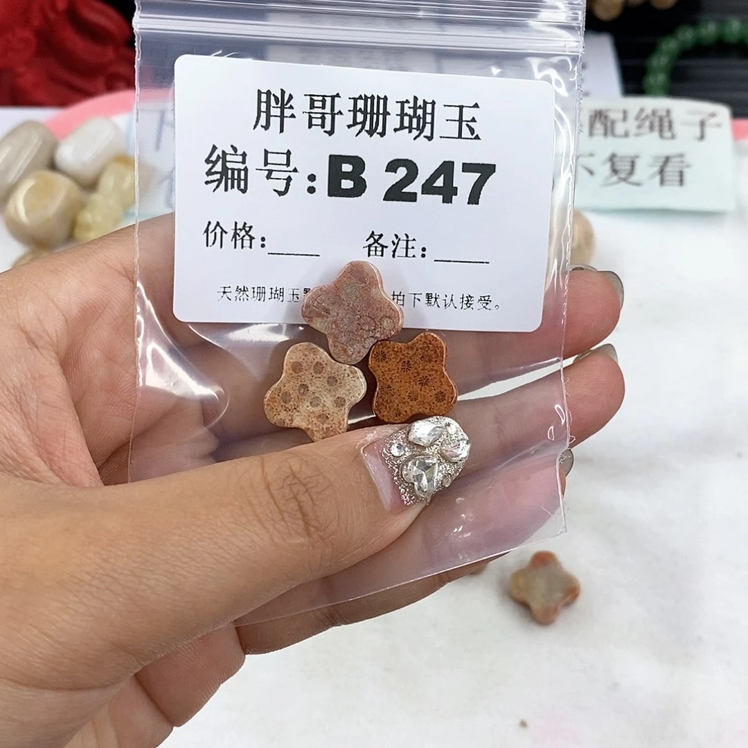 硅化珊瑚（珊瑚玉）B247未镶嵌*️*
