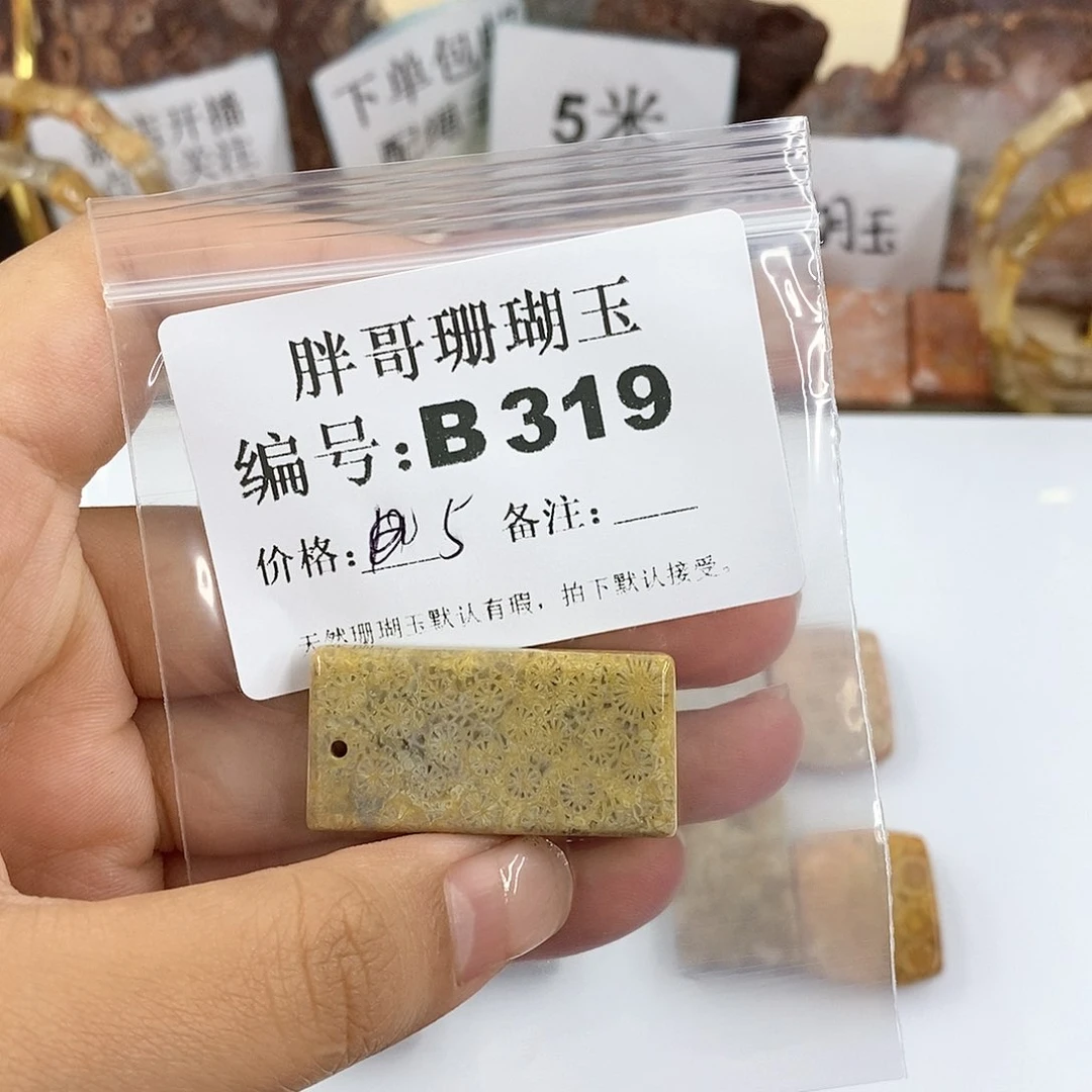 硅化珊瑚（珊瑚玉）B319未镶嵌无*境