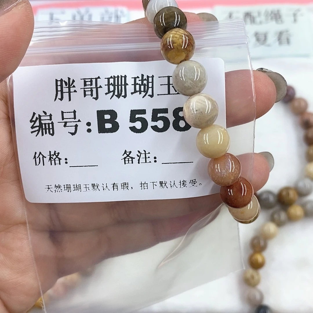 硅化珊瑚（珊瑚玉）B558未镶嵌碧*
