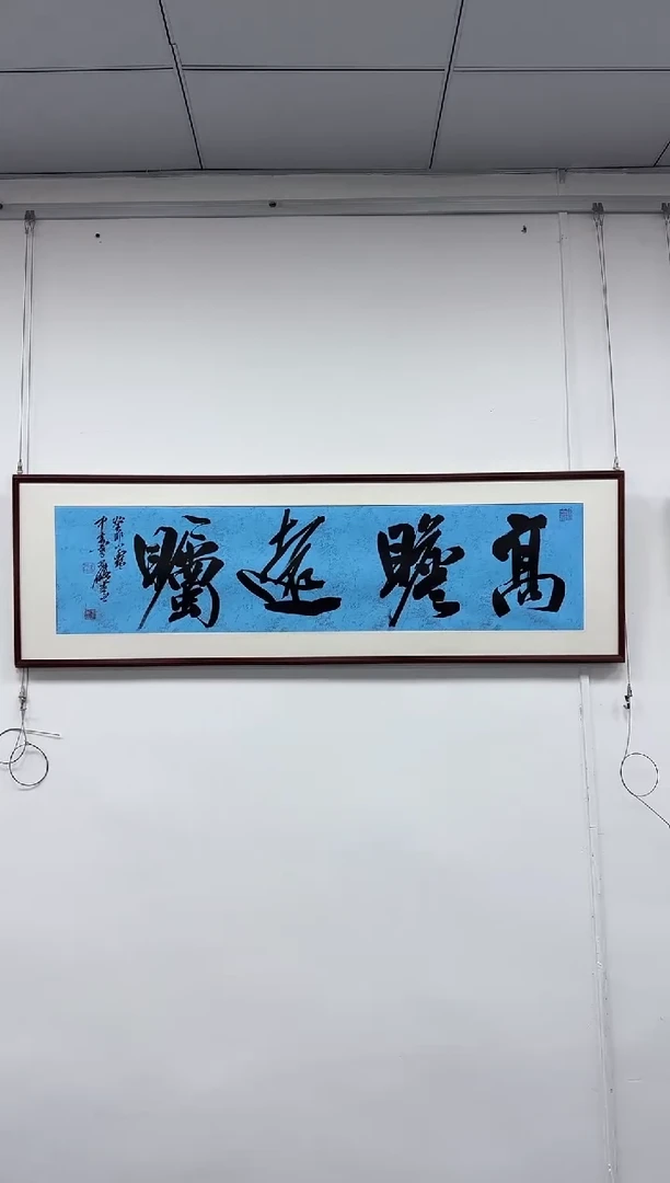 【闪购商品】书法 高瞻远瞩