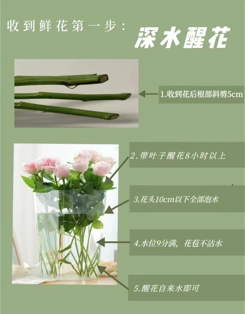 多头烟花 玫瑰鲜花 买两单起发顺丰或京东空运
