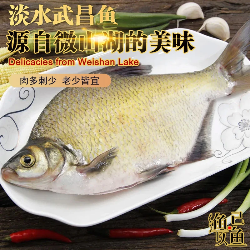南四湖淡水武昌鱼生态鳊鱼鲂鱼活鱼现杀现发真空包装冰鲜发货
