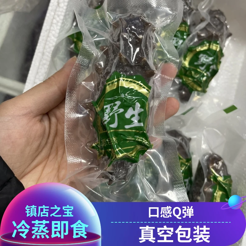 主播推荐高品质辽刺参即食海参单只独立装海渗非干货海参甄选