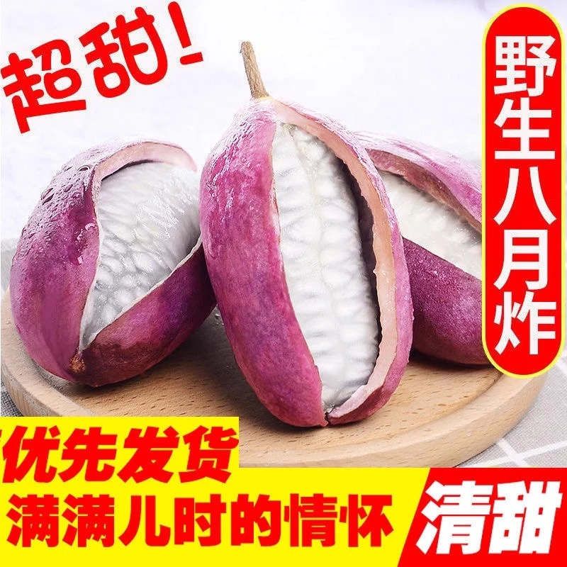 现摘顺丰包邮野生八月瓜九月炸水果新鲜当季野香蕉预知子香瓜