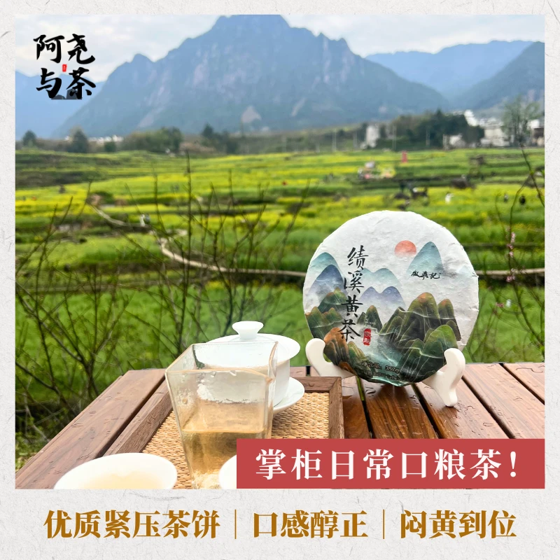 店主阿尧推荐品质黄茶饼小众特色茶绩溪黄茶滋味醇厚耐泡闷黄到位