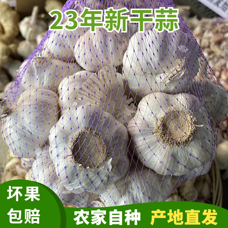 山东金乡好吃大蒜头250g-9斤精品装紫皮新鲜多瓣香辣农家蒜003