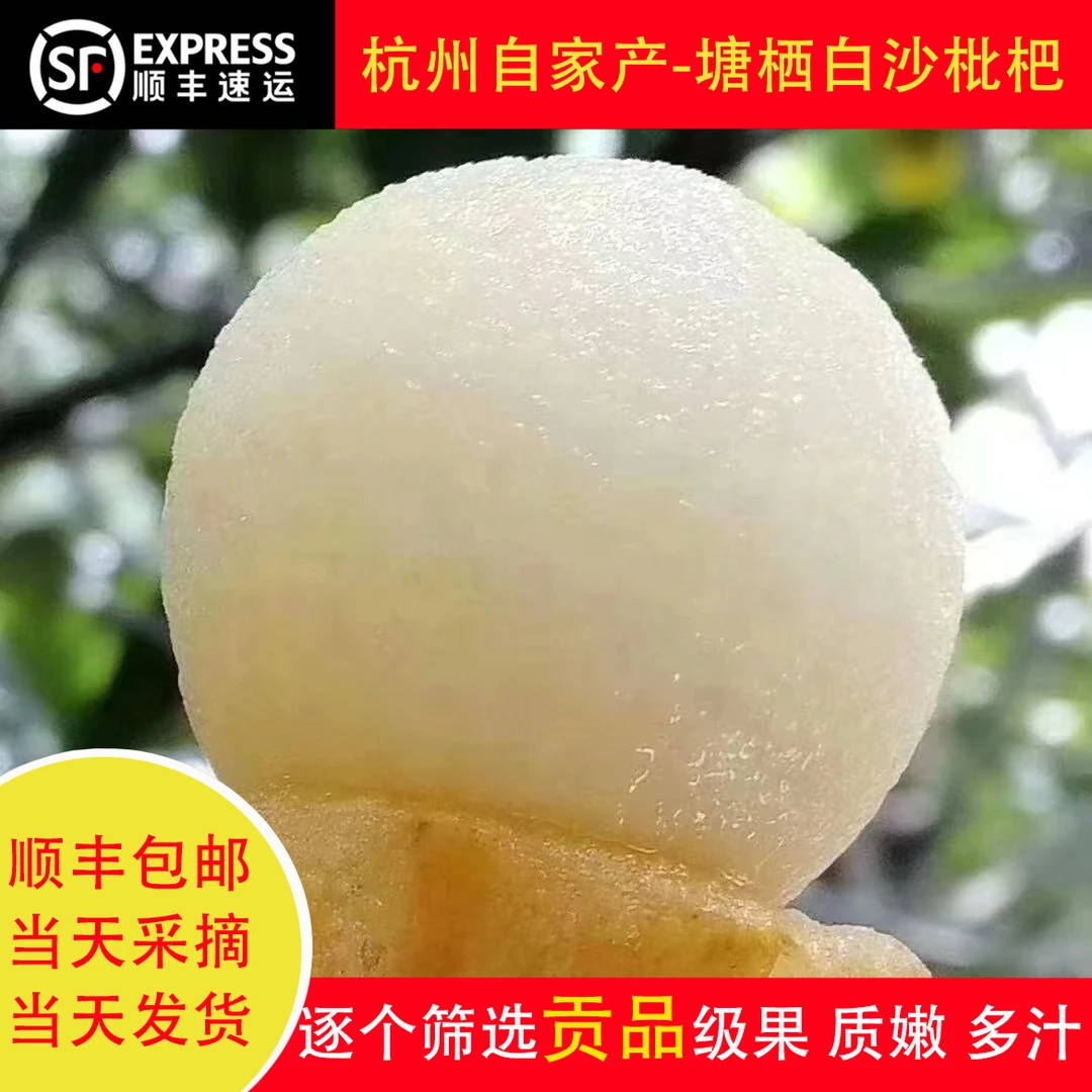 顺丰包邮杭州塘栖白沙枇杷白玉贡品级大果鲜甜多汁现摘现发礼盒