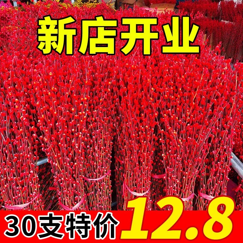 （新疆包邮乌市发货）银柳过年喜庆年宵花批发