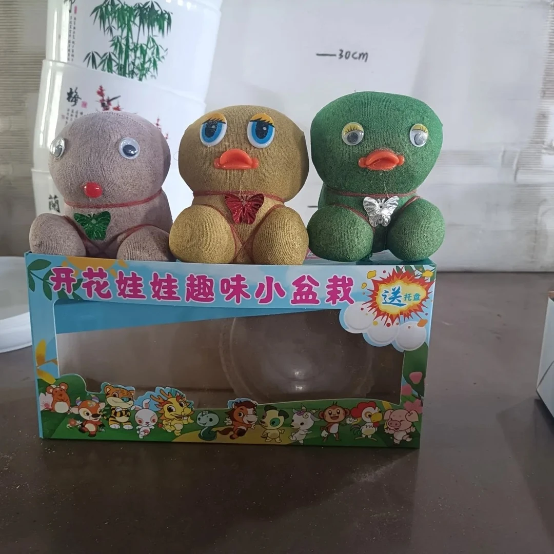 开花娃娃，从乌鲁木齐发货，全疆包邮，很可爱，创意绿植