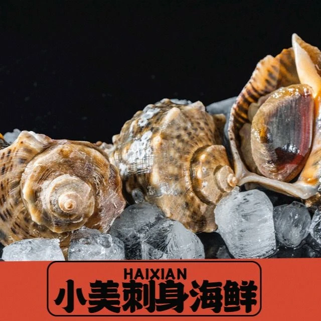 【鲜活】国内海螺 约500g/份
