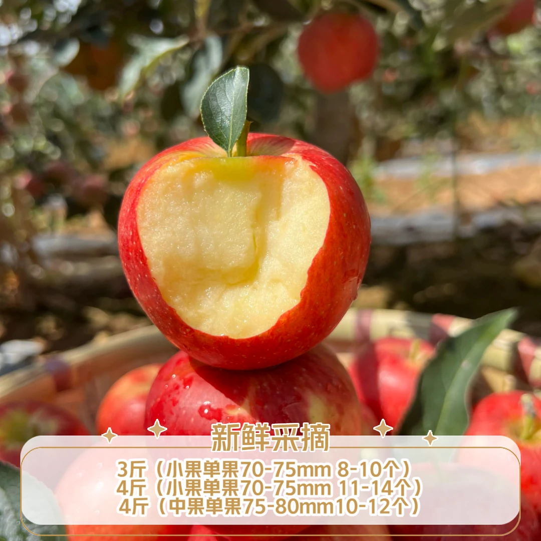【寻味秦川】云南红露小苹果3斤/4斤