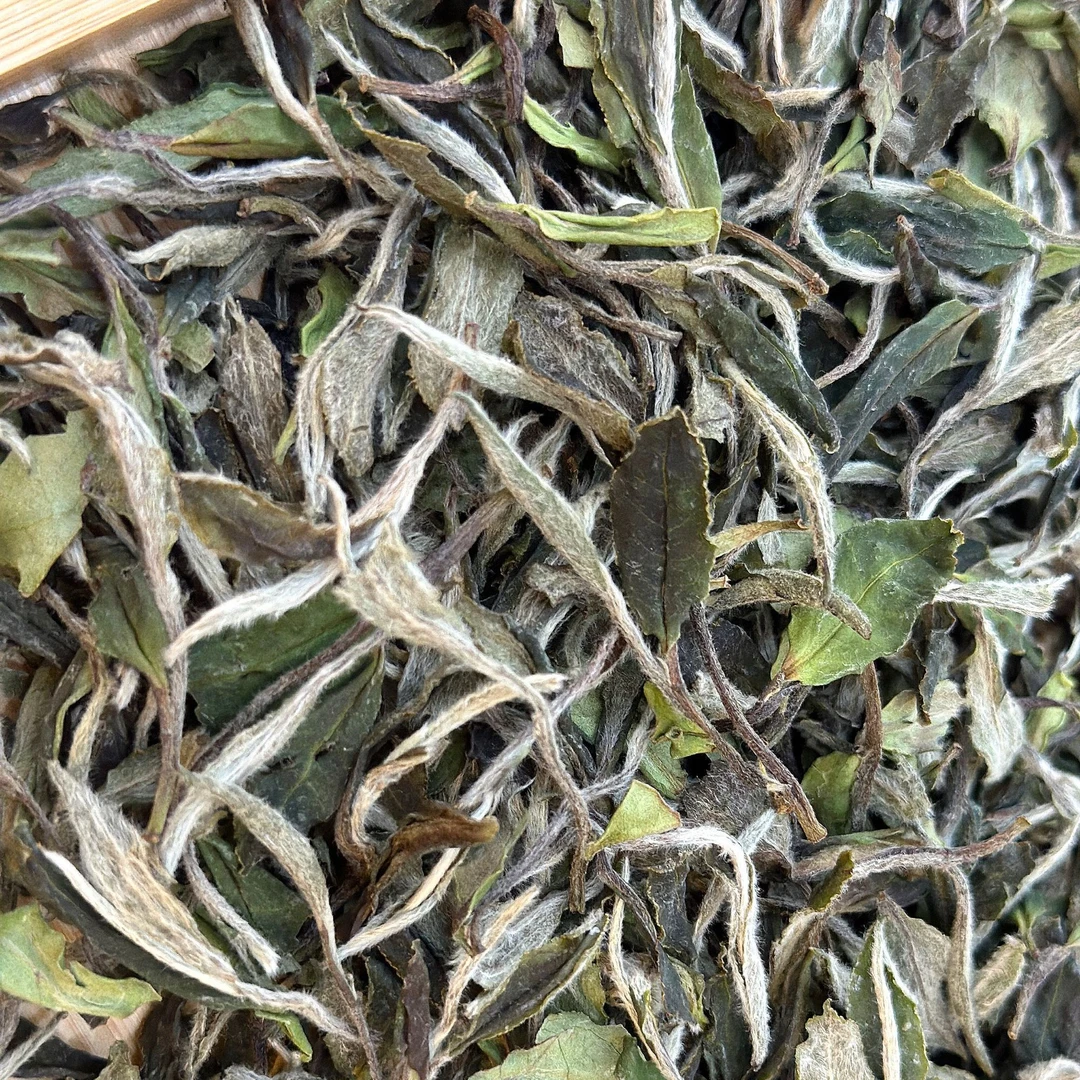 2024年福鼎白茶磻溪高山花香白牡丹散茶正宗明前春茶叶