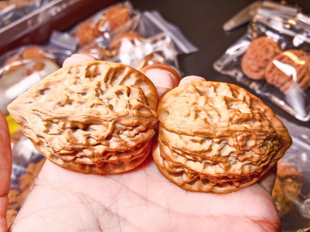 37+原树长治鸡心吸血鬼