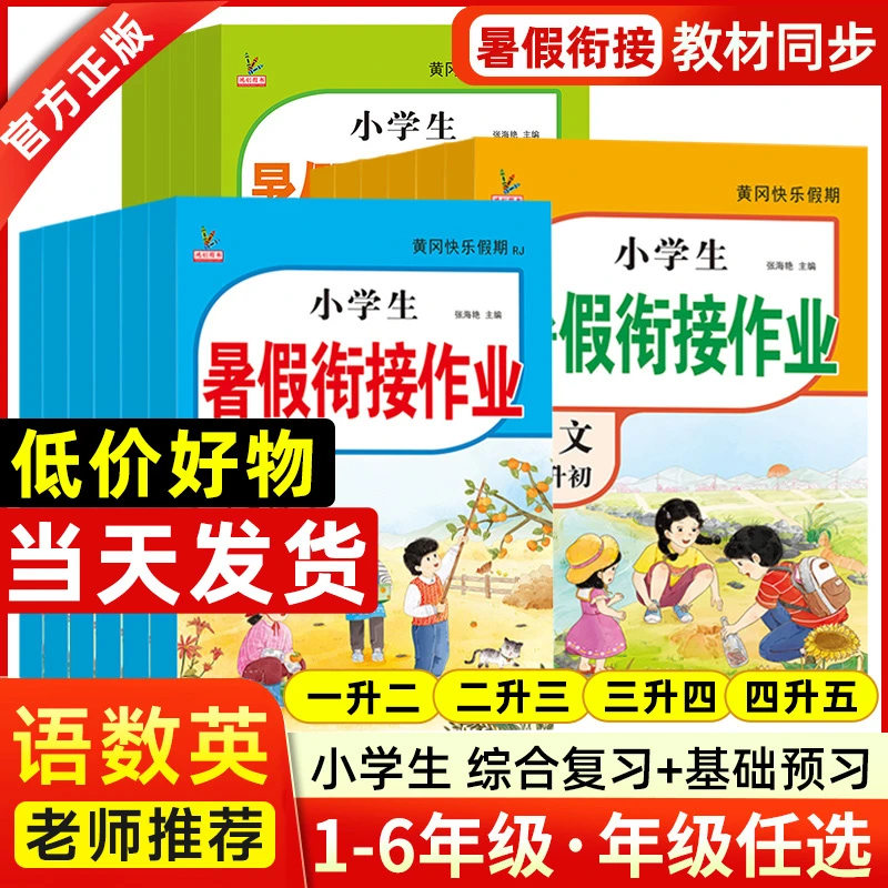 2025暑假衔接作业练习册语文数学英语一年级升二年级升三升四升五