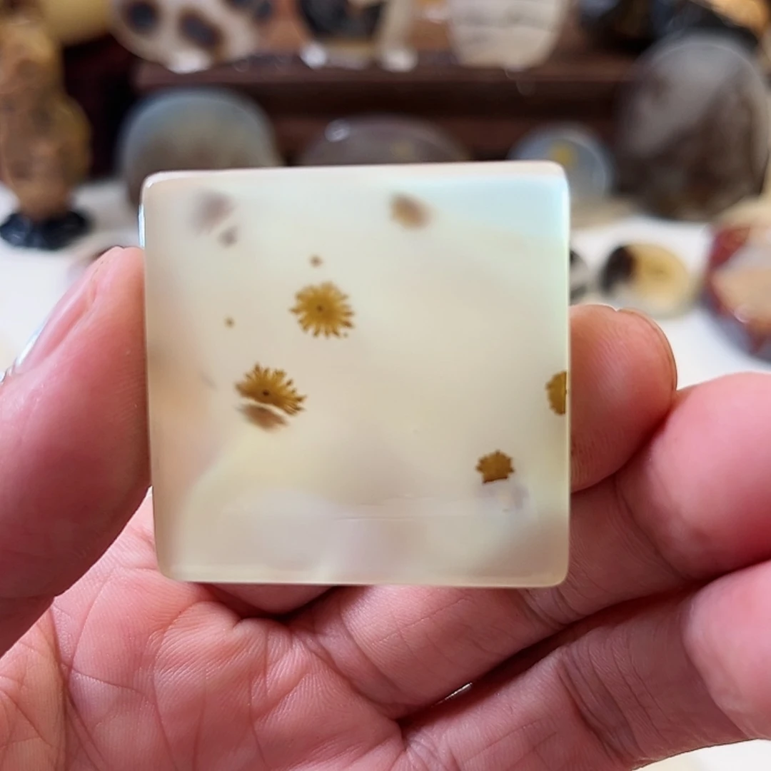 【闪购商品】玛瑙/玉髓珠宝奇石未镶嵌大***狗18