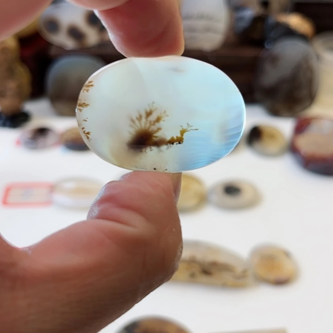 【闪购商品】玛瑙/玉髓珠宝奇石未镶嵌