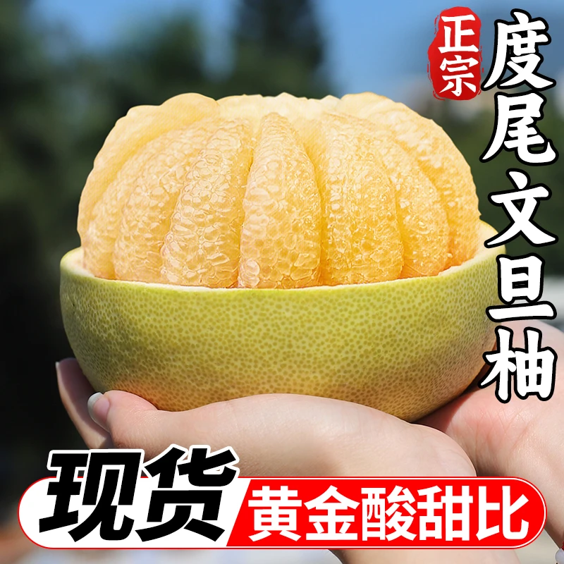 【新人福利】无洞精品果福建度尾文旦柚莆田蜜柚新鲜柚子水果柚琯箱
