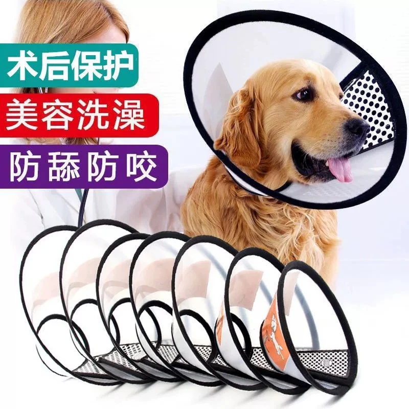 伊丽莎白圈狗狗猫咪项圈脖套涂药防舔咬伊莉莎白圈宠物头套耻辱圈