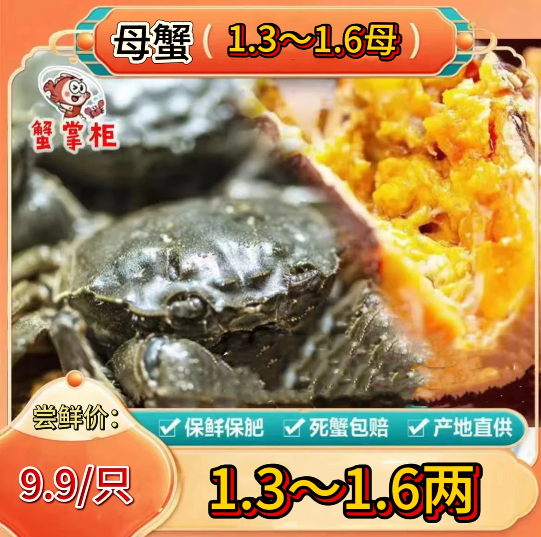 江苏精品鲜活大闸蟹 到手 10 只 全母蟹 （1.3 两～1.6 两）（包活包黄）