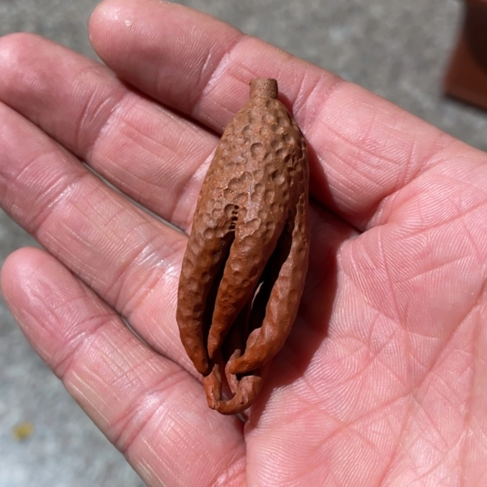 【闪购商品】紫砂茶宠工**城
