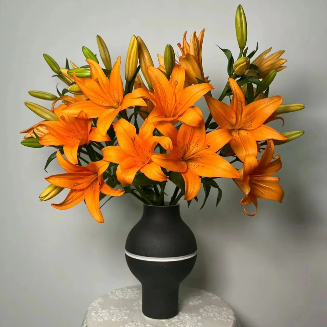 （橙色百合)无香味水生鲜切花东北基地顺丰直发多种实物真花插花