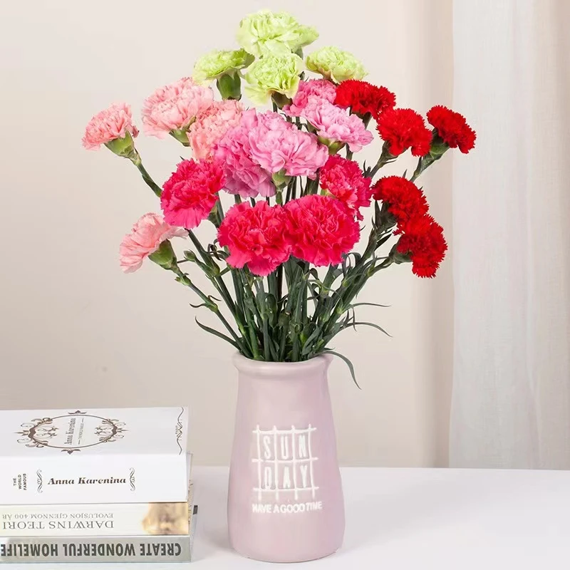 （康乃馨）红色粉色顺丰包邮新鲜漂亮美丽水生鲜切花东北直发多种