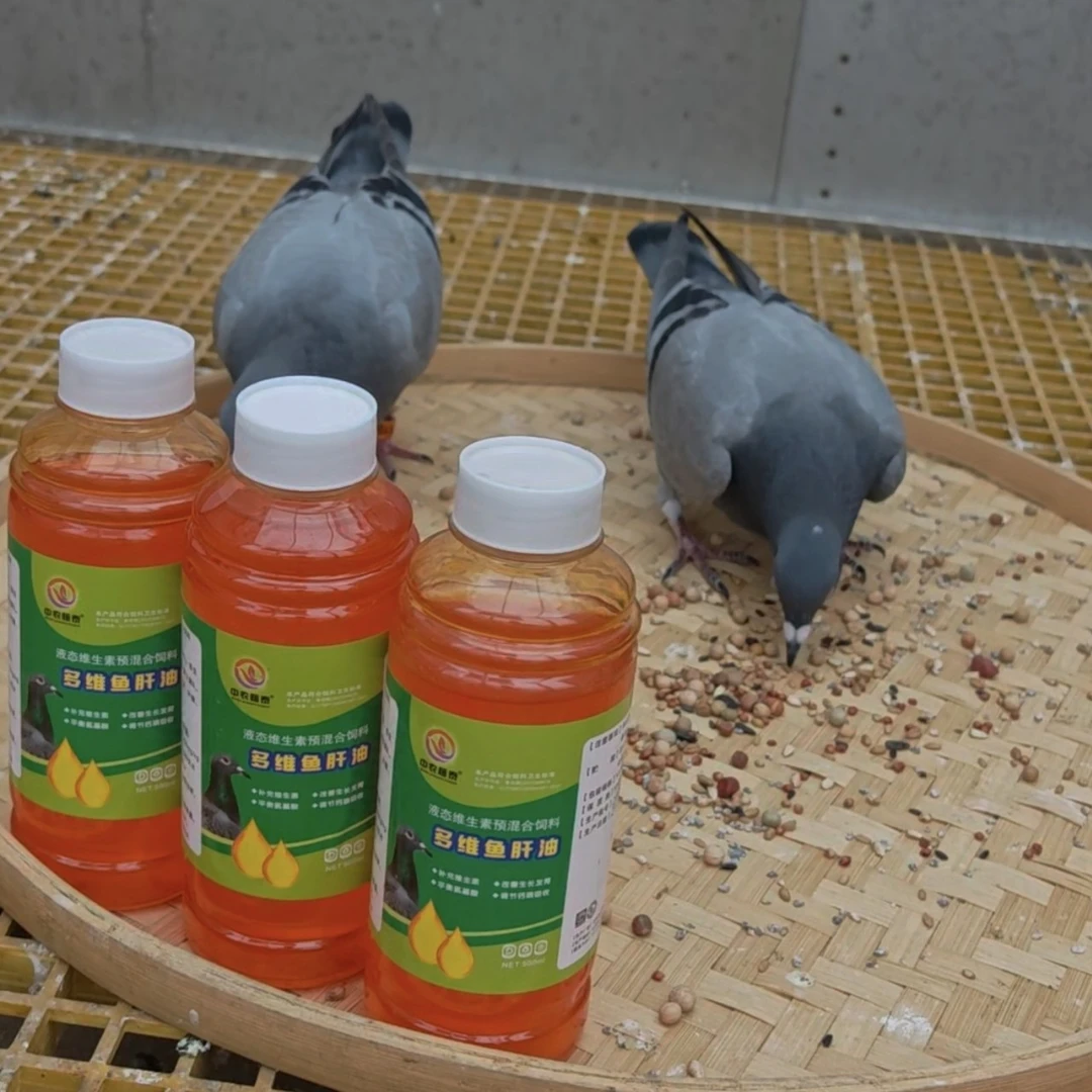 多维鱼盰油500毫升 赛鸽信鸽鸽子用品