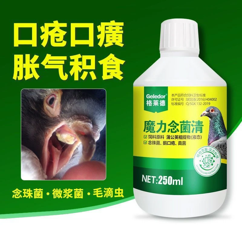 格莱德魔力念菌清 250毫升 赛鸽信鸽鸽子用品
