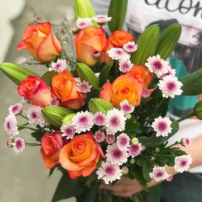 1106基地直发养殖鲜花玫瑰