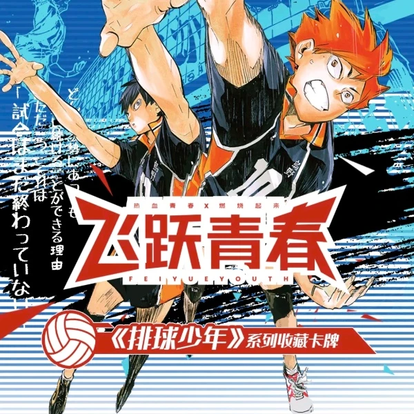 【平拆】影文创【排球少年-飞跃青春】国产二创【默认代拆】