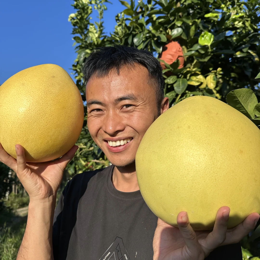 【精选蜜柚】红河河口三红蜜柚 九甜一酸  多汁 9斤包邮，坏果包赔