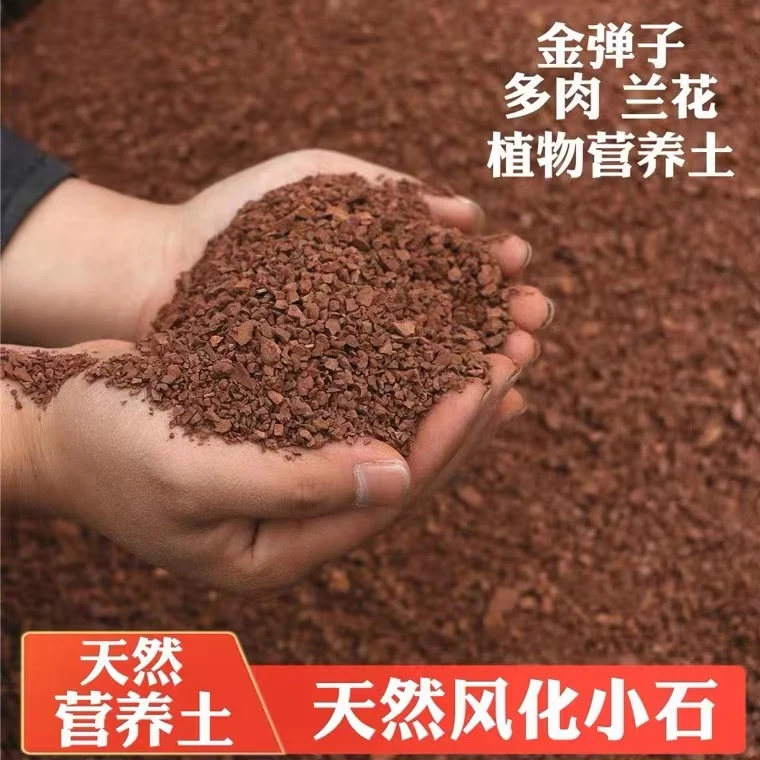 【嘉州园艺】四川风化石酸性土 竹类松柏类金弹子兰花专用土