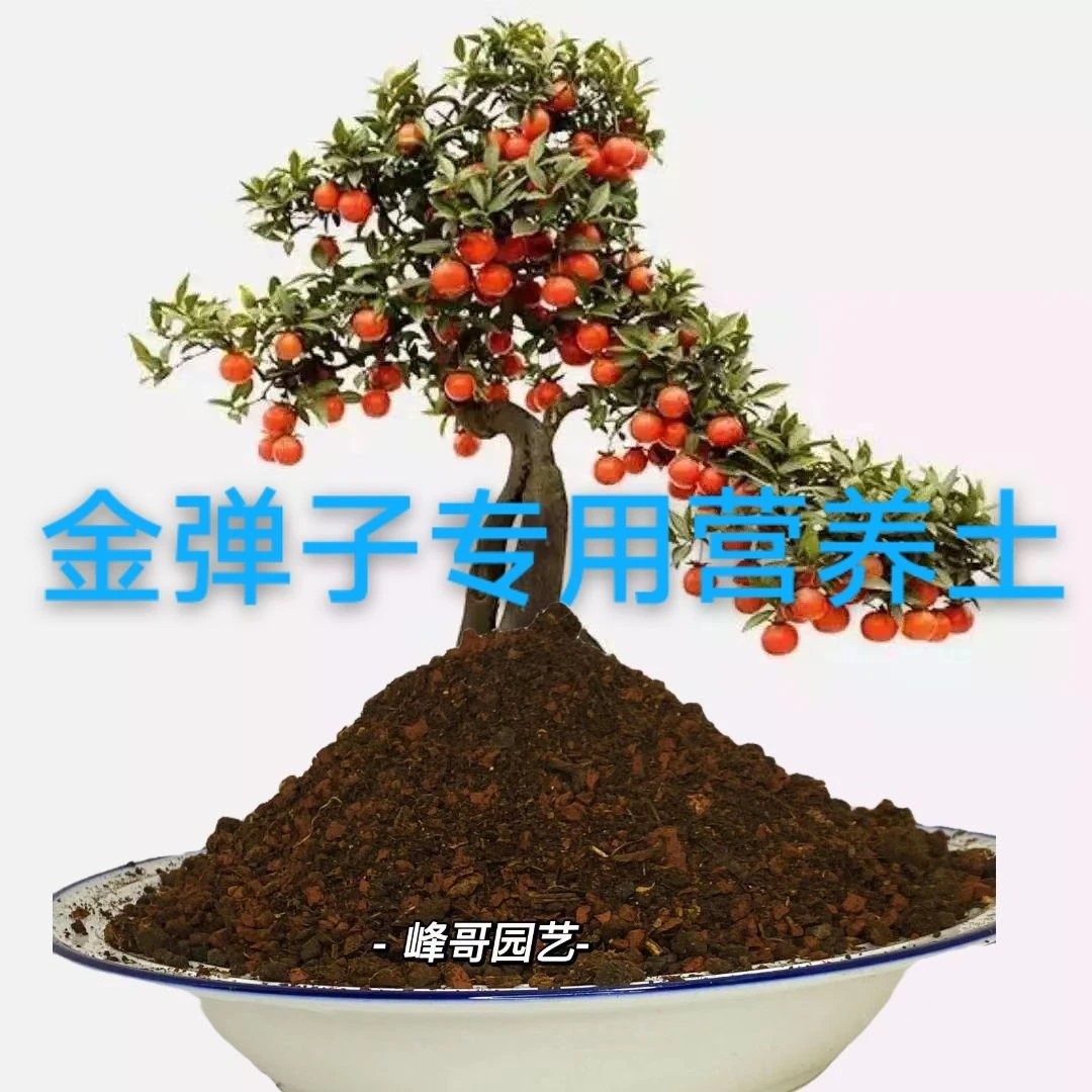 盆景花卉土通用型养花种菜土土壤多肉绿萝种植土有机花土泥土