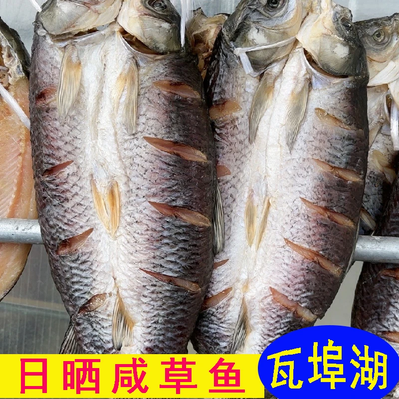 腌制瓦埠湖大草鱼风干咸鱼晒干大混子肉厚鱼日晒盐鱼干腊鱼肉干鱼