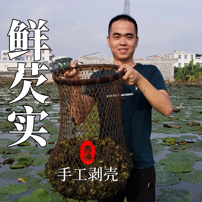 意溪山哥新鲜芡实正宗农家特产甜品佐料1包250g 东凤新鲜鸡头米