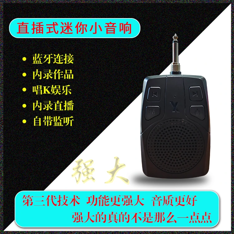 全鑫乐电吹管直插式内录直播小音箱