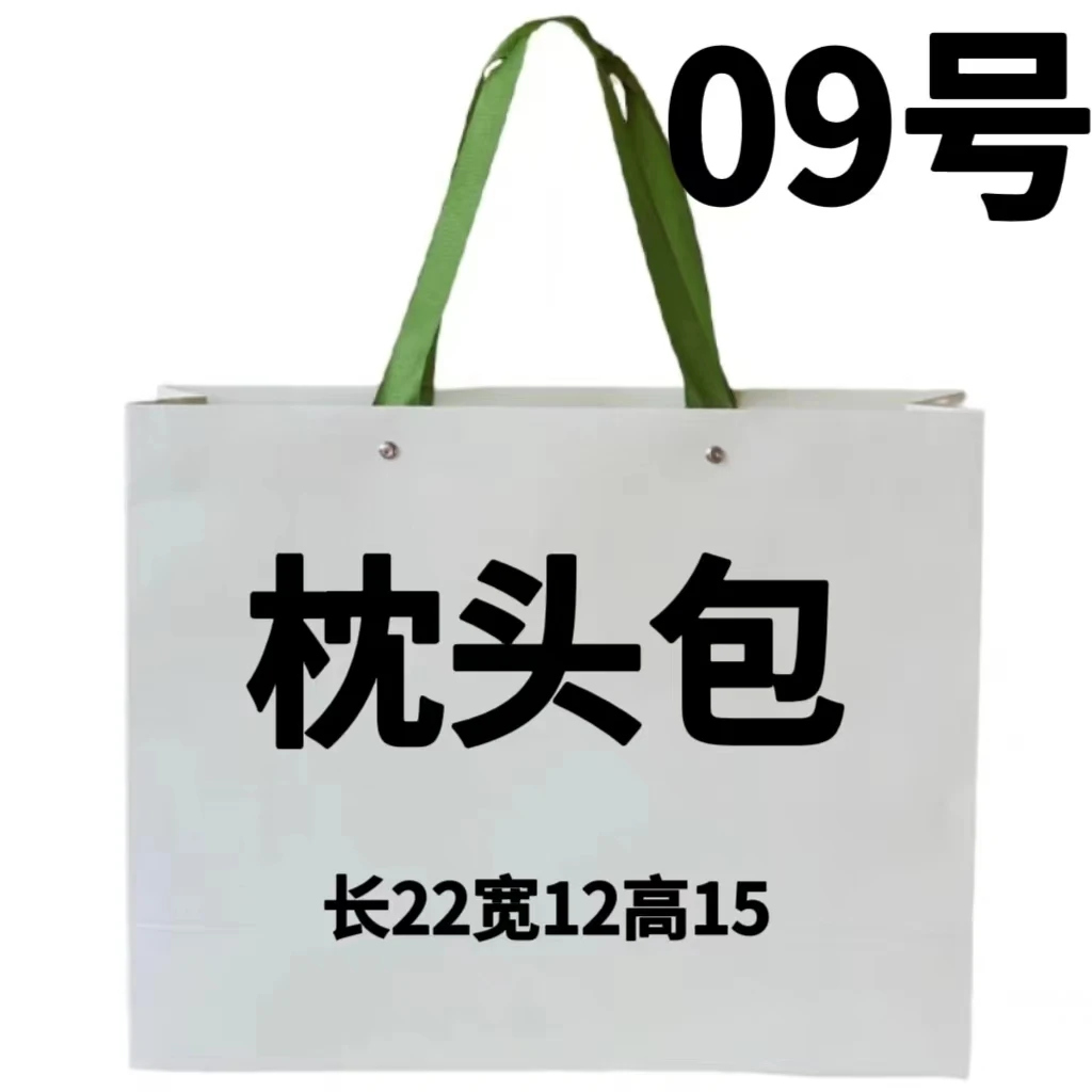 AA 09包 超火2023新款流行枕头包 手提单肩斜挎 6507-1#