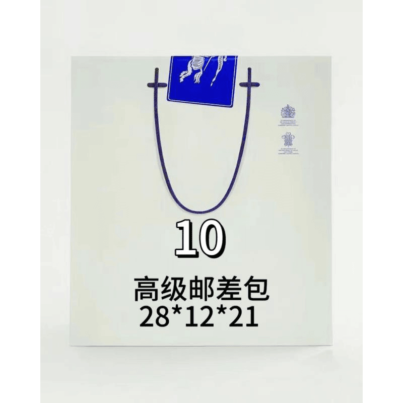 10号(H)高级感邮差包1991#
