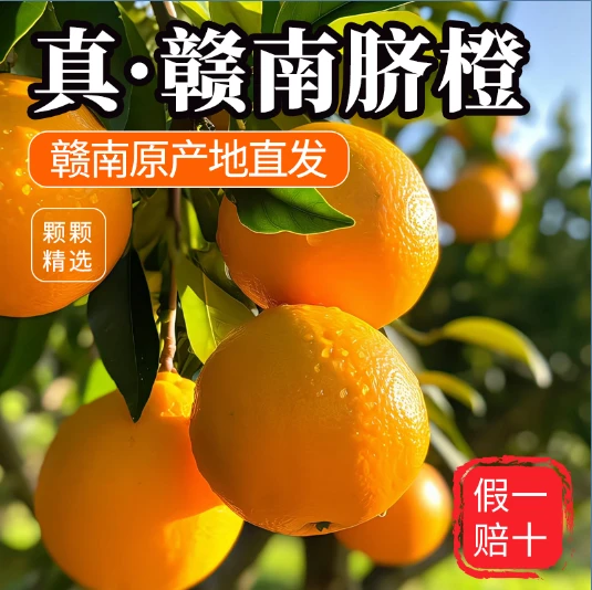 【精品脐橙】正宗赣南脐橙江西甜橙赣州橙子孕妇当季新鲜水果批发
