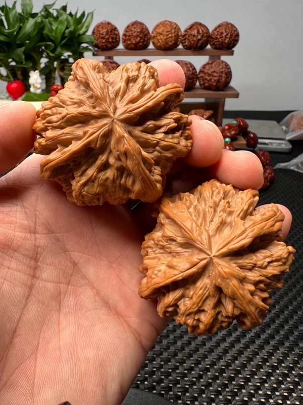 文玩核桃凹底野牛正四棱53尺寸