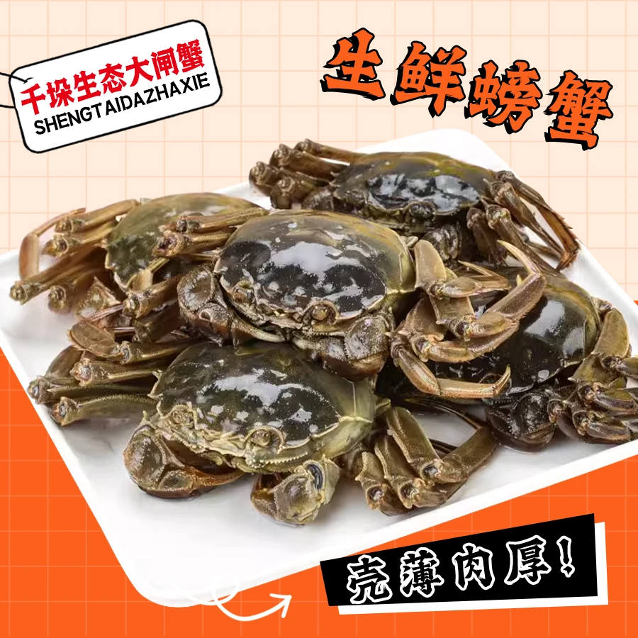 【自吃蟹】公蟹 3.5两 12只 精品红膏大闸蟹 死蟹/无膏包退