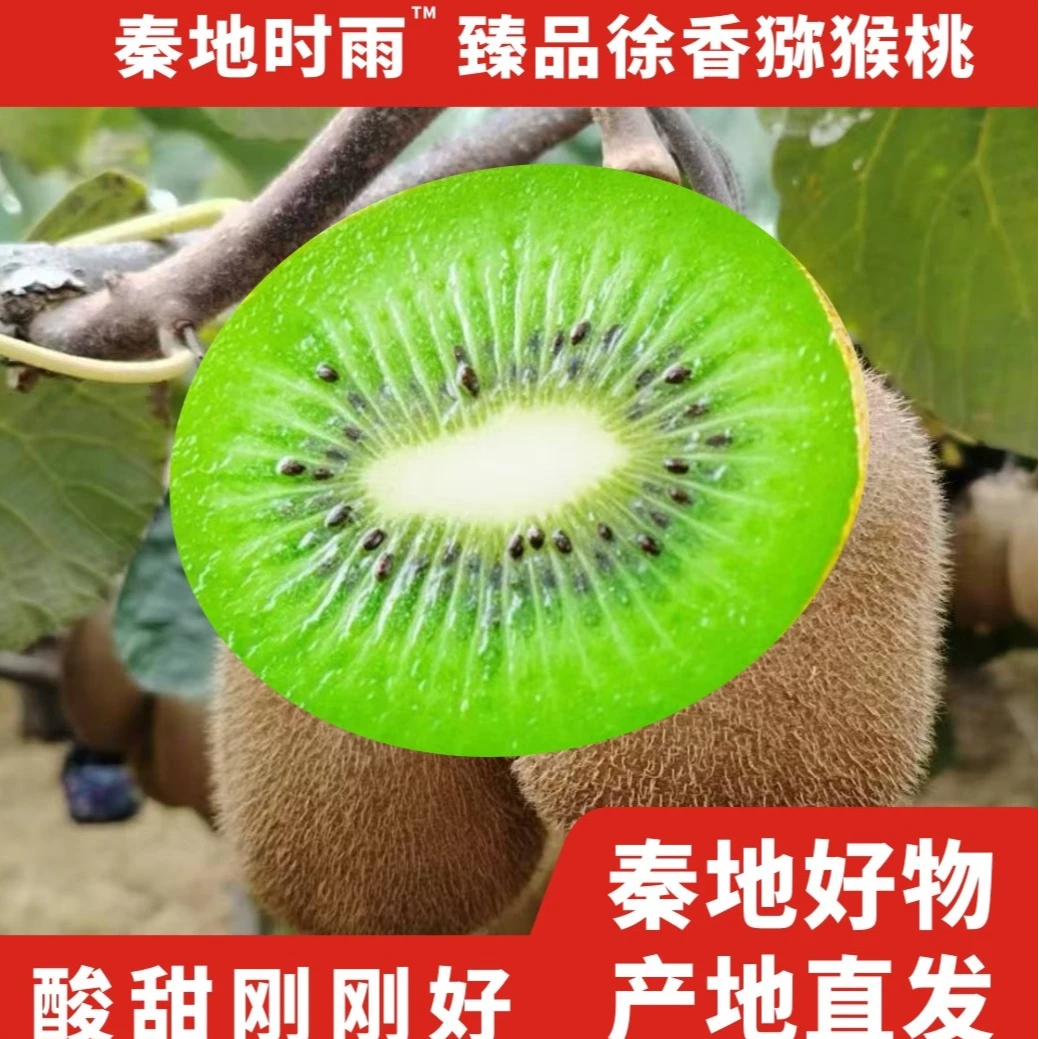 B【净重5斤】陕西徐香猕猴桃现摘现发新鲜应季水果