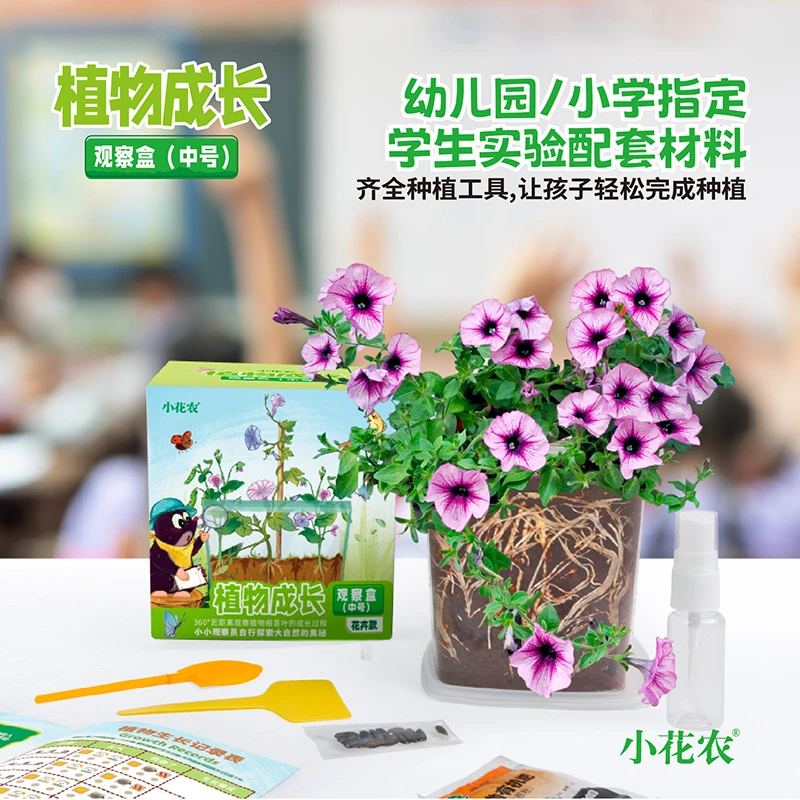 小花农中号植物成长观察盒儿童益智玩具创意伴手礼男孩女孩礼物