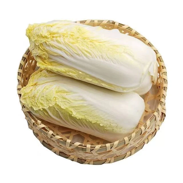 【娃娃菜大全】四季好吃好种适应性广奶油脆甜好甜青菜蔬菜苗子