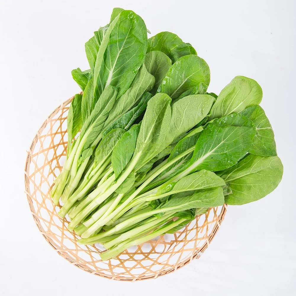 【菜心大全】精A级种苗油绿甜全年抗热农家菜园易种四季蔬菜种子