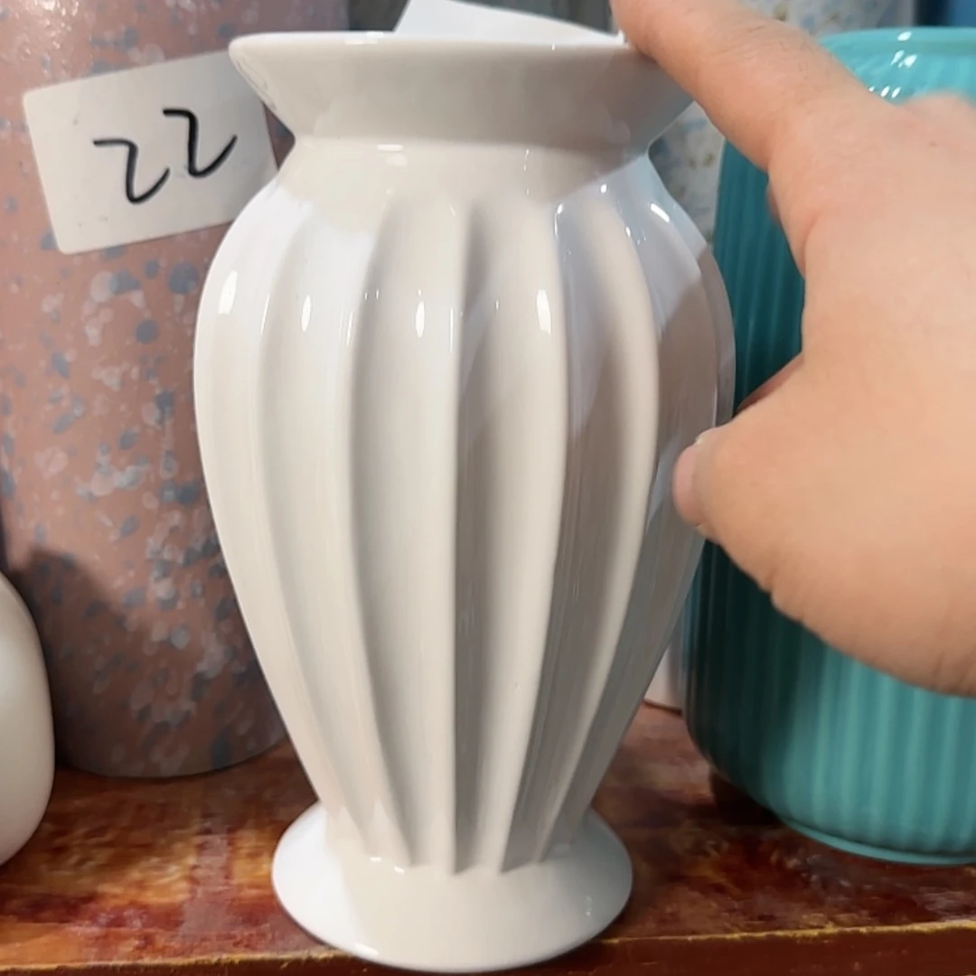 【闪购商品】陶瓷瓶榴莲20高