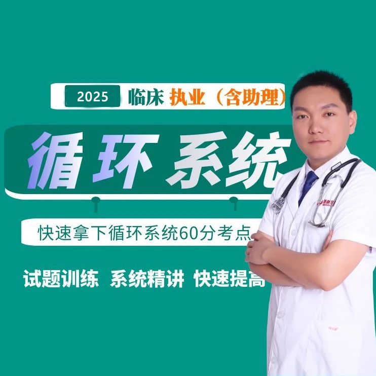 循环系统精讲白老师2025年循环精细讲解