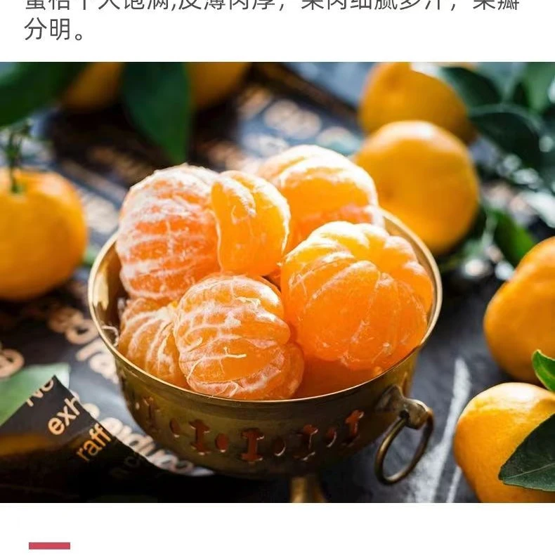 黄湾蜜桔5斤无籽蜜橘新鲜橘子孕妇水果整箱当季青皮桔子柑橘